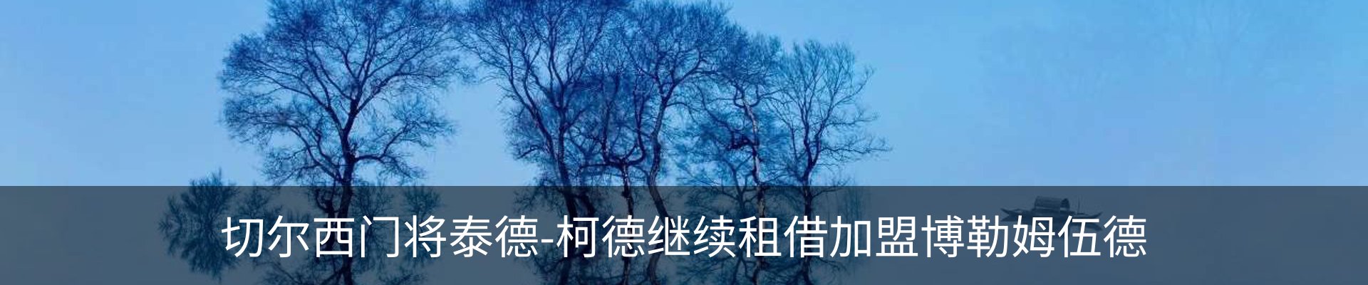 行业资讯
